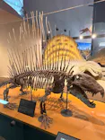 福井県立恐竜博物館に投稿された画像（2026/9/22）