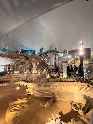福井県立恐竜博物館に投稿された画像（2026/9/21）