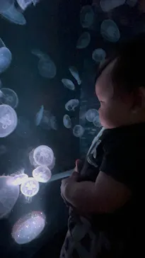 京都水族館に投稿された画像（2026/9/21）