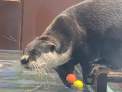ゼロ距離水族館 伊勢シーパラダイスに投稿された画像（2026/9/21）