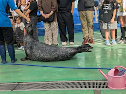 ゼロ距離水族館 伊勢シーパラダイスに投稿された画像（2026/9/21）