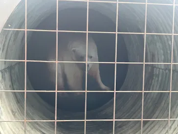 天王寺動物園に投稿された画像（2026/9/21）