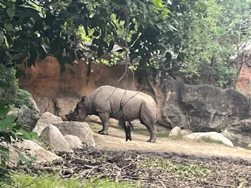 天王寺動物園に投稿された画像（2026/9/21）