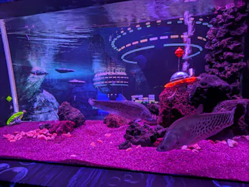ひらかたパークに投稿された画像（2026/9/21）