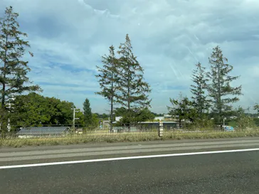 北海道グリーンランドに投稿された画像（2026/9/21）