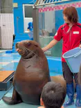 ゼロ距離水族館 伊勢シーパラダイスに投稿された画像（2026/9/22）