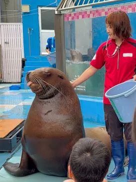 ゼロ距離水族館 伊勢シーパラダイスに投稿された画像（2026/9/21）