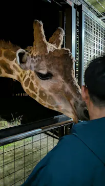那須サファリパークに投稿された画像（2026/9/21）