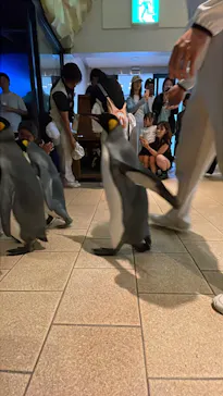 アドベンチャーワールドに投稿された画像（2026/9/21）