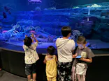 竹島水族館に投稿された画像（2026/9/22）