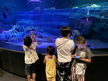 竹島水族館に投稿された画像（2026/9/22）