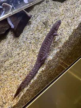 すみだ水族館に投稿された画像（2026/9/22）