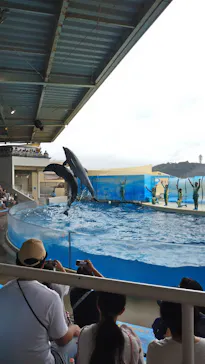 新江ノ島水族館に投稿された画像（2026/9/22）
