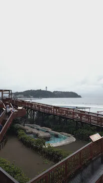 新江ノ島水族館に投稿された画像（2026/9/22）