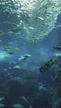 新江ノ島水族館に投稿された画像（2026/9/22）