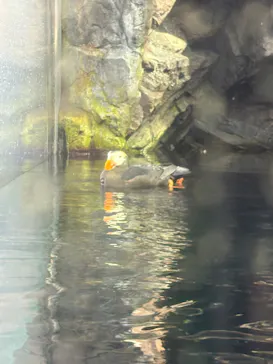 環境水族館アクアマリンふくしまに投稿された画像（2026/9/22）