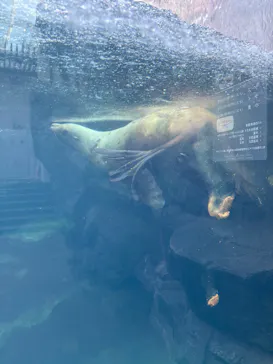 環境水族館アクアマリンふくしまに投稿された画像（2026/9/22）