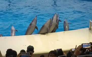 マリンワールド海の中道に投稿された画像（2026/9/22）