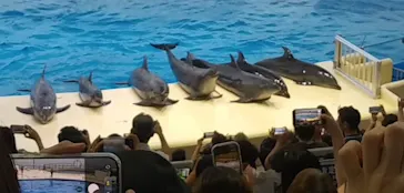 マリンワールド海の中道に投稿された画像（2026/9/22）