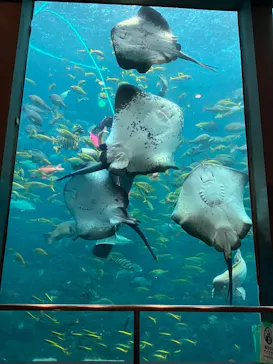 下田海中水族館に投稿された画像（2026/9/22）
