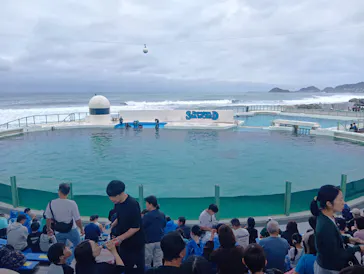 鴨川シーワールドに投稿された画像（2026/9/22）