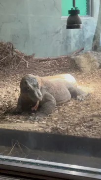 名古屋市東山動植物園に投稿された画像（2026/9/22）