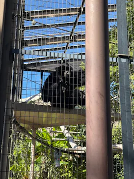 名古屋市東山動植物園に投稿された画像（2026/9/22）