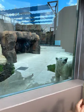 天王寺動物園に投稿された画像（2026/9/22）