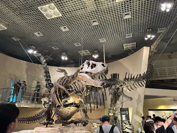国立科学博物館に投稿された画像（2026/9/22）