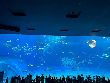 沖縄美ら海水族館に投稿された画像（2026/9/22）