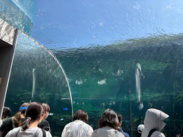 九十九島水族館海きららに投稿された画像（2026/9/22）