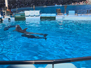名古屋港水族館に投稿された画像（2026/9/22）