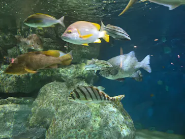 名古屋港水族館に投稿された画像（2026/9/22）