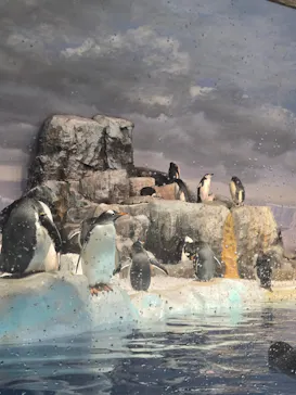 名古屋港水族館に投稿された画像（2026/9/22）