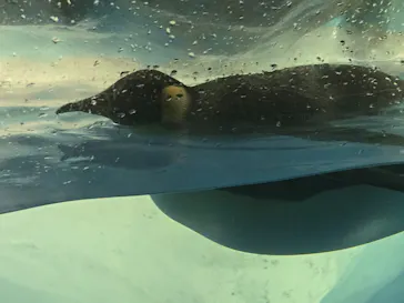 名古屋港水族館に投稿された画像（2026/9/22）