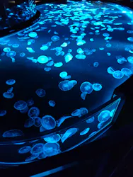 すみだ水族館に投稿された画像（2026/9/22）