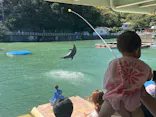 下田海中水族館に投稿された画像（2026/9/22）