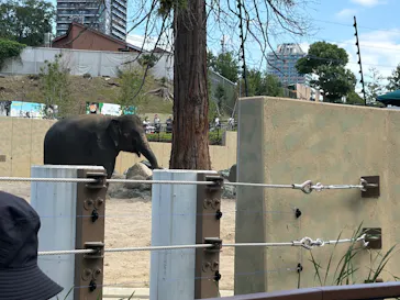 天王寺動物園に投稿された画像（2026/9/22）