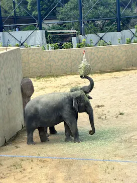 天王寺動物園に投稿された画像（2026/9/22）