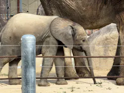 広島市安佐動物公園に投稿された画像（2026/9/22）