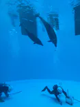 名古屋港水族館に投稿された画像（2026/9/22）