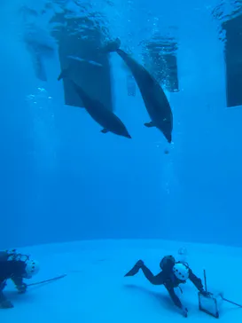 名古屋港水族館に投稿された画像（2026/9/22）