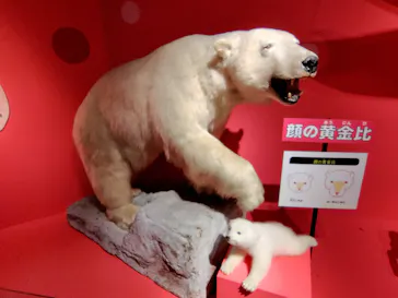 特別展「いきもの超ワールド展　国立科学博物館×ダーウィンが来た！」（国立科学博物館）に投稿された画像（2026/9/22）