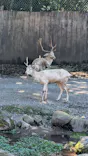 那須サファリパークに投稿された画像（2026/9/22）