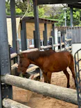 恩賜上野動物園に投稿された画像（2026/9/22）