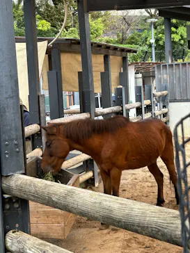 恩賜上野動物園に投稿された画像（2026/9/22）