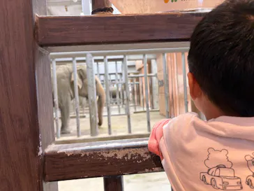 名古屋市東山動植物園に投稿された画像（2026/9/22）