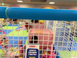 キッズランドUS 神奈川厚木店に投稿された画像（2026/9/22）