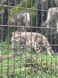 多摩動物公園に投稿された画像（2026/9/22）