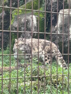 多摩動物公園に投稿された画像（2026/9/22）